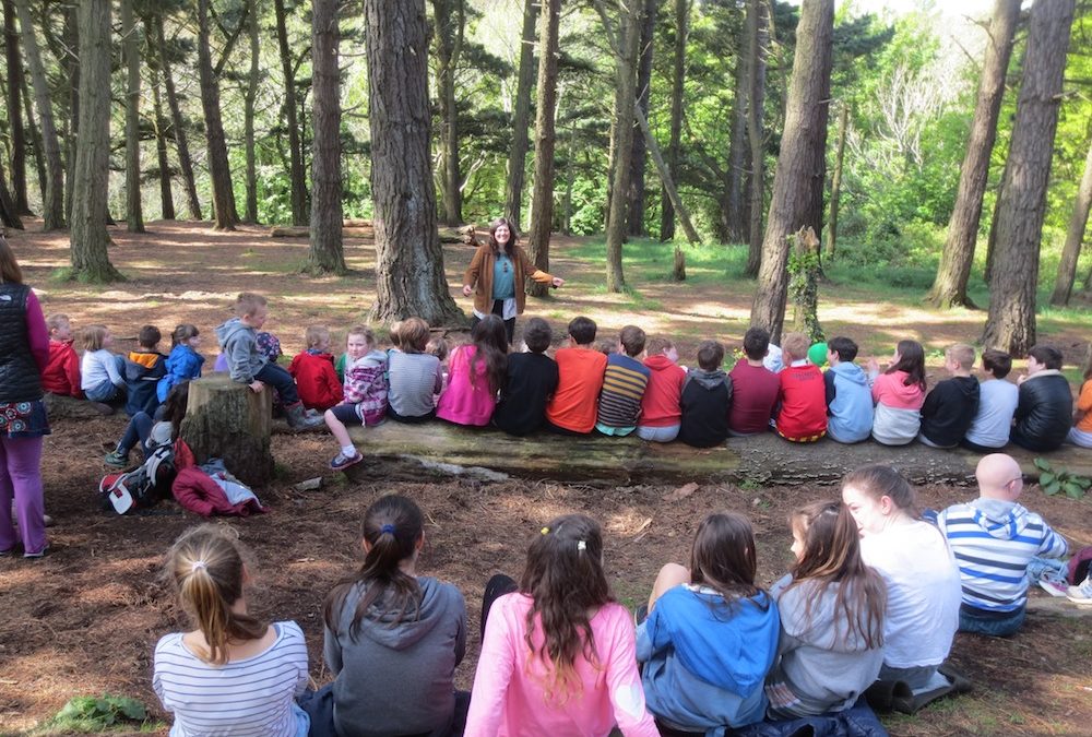 Forest School Storytelling